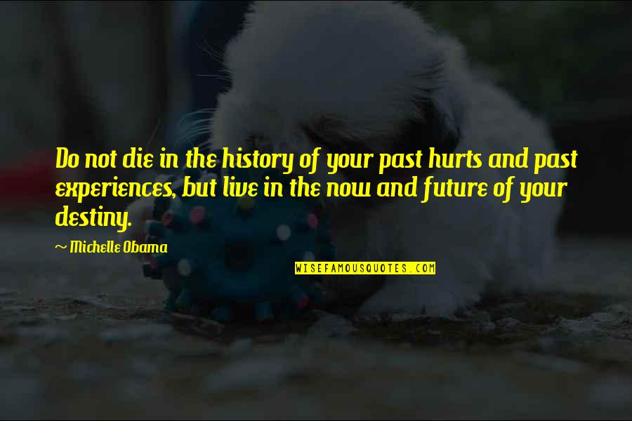 I Live In My Past Quotes By Michelle Obama: Do not die in the history of your