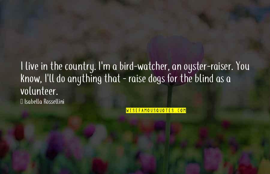 I Ll Do Anything You Quotes By Isabella Rossellini: I live in the country. I'm a bird-watcher,
