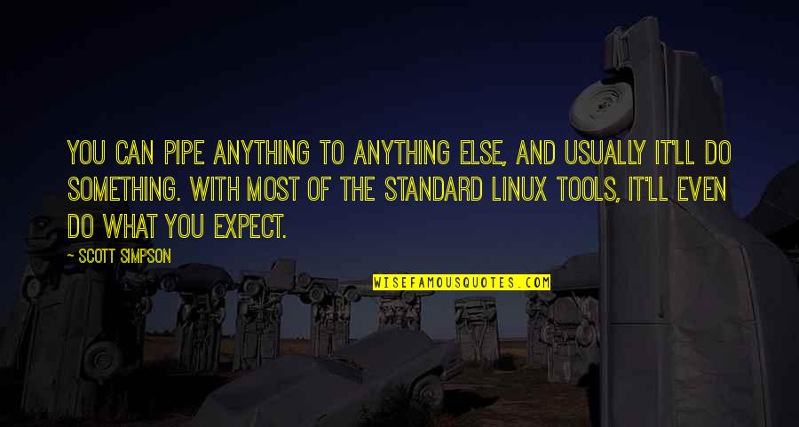 I Ll Do Anything You Quotes By Scott Simpson: You can pipe anything to anything else, and