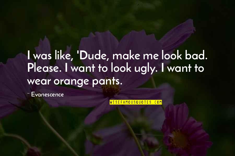 I Look Ugly Quotes By Evanescence: I was like, 'Dude, make me look bad.