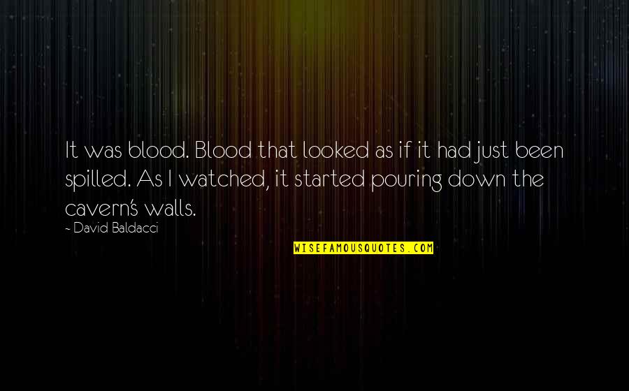 I Looked Down Quotes By David Baldacci: It was blood. Blood that looked as if I Looked Down Quotes By David Baldacci: It was blood. Blood that looked as if