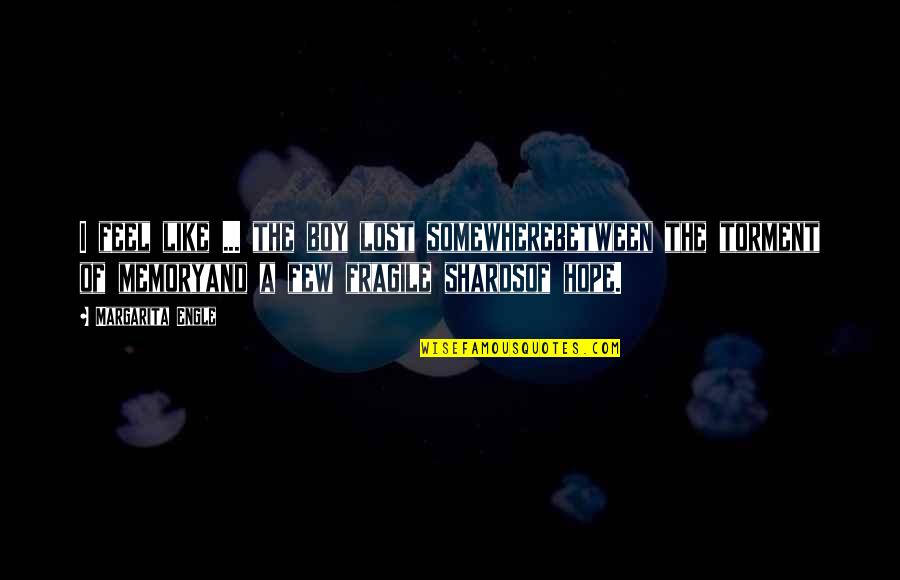 I Lost Hope Quotes By Margarita Engle: I feel like ... the boy lost somewherebetween