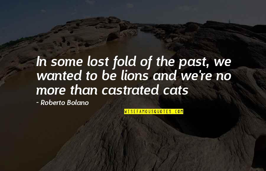 I Lost My Past Quotes By Roberto Bolano: In some lost fold of the past, we