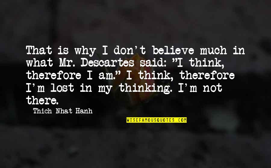I Lost My Quotes By Thich Nhat Hanh: That is why I don't believe much in