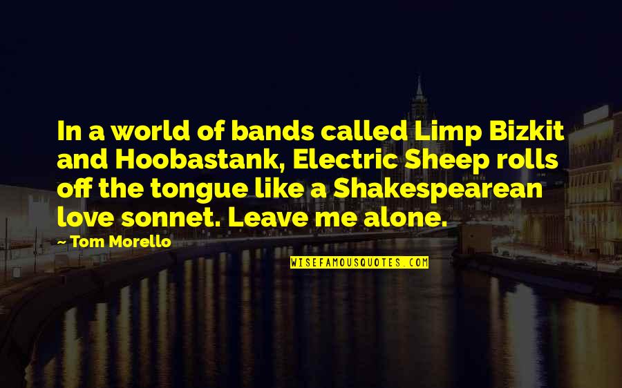 I Love Bands Quotes By Tom Morello: In a world of bands called Limp Bizkit