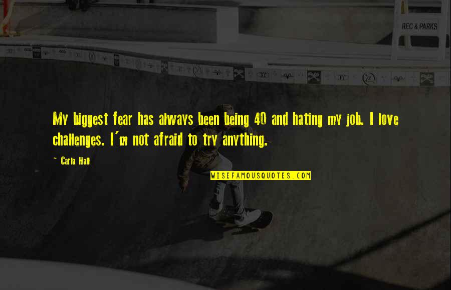 I Love Challenges Quotes By Carla Hall: My biggest fear has always been being 40