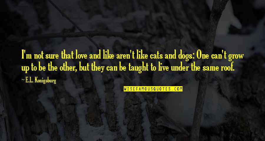 I Love My Cats Quotes By E.L. Konigsburg: I'm not sure that love and like aren't