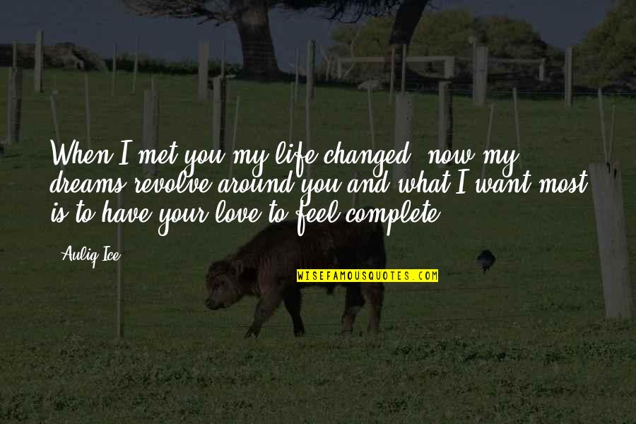 I Love My Life Now Quotes By Auliq Ice: When I met you my life changed, now