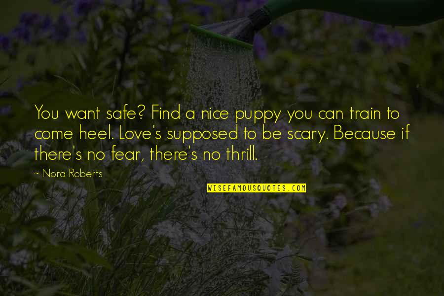 I Love My Puppy Quotes By Nora Roberts: You want safe? Find a nice puppy you I Love My Puppy Quotes By Nora Roberts: You want safe? Find a nice puppy you