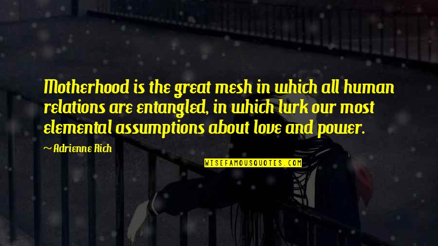 I Love My Relations Quotes By Adrienne Rich: Motherhood is the great mesh in which all I Love My Relations Quotes By Adrienne Rich: Motherhood is the great mesh in which all