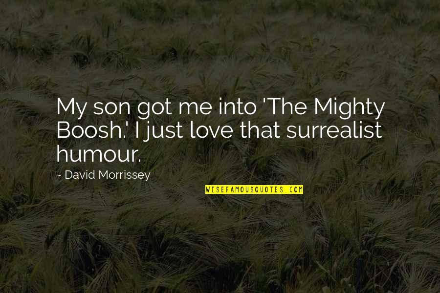 I Love My Son Quotes By David Morrissey: My son got me into 'The Mighty Boosh.'