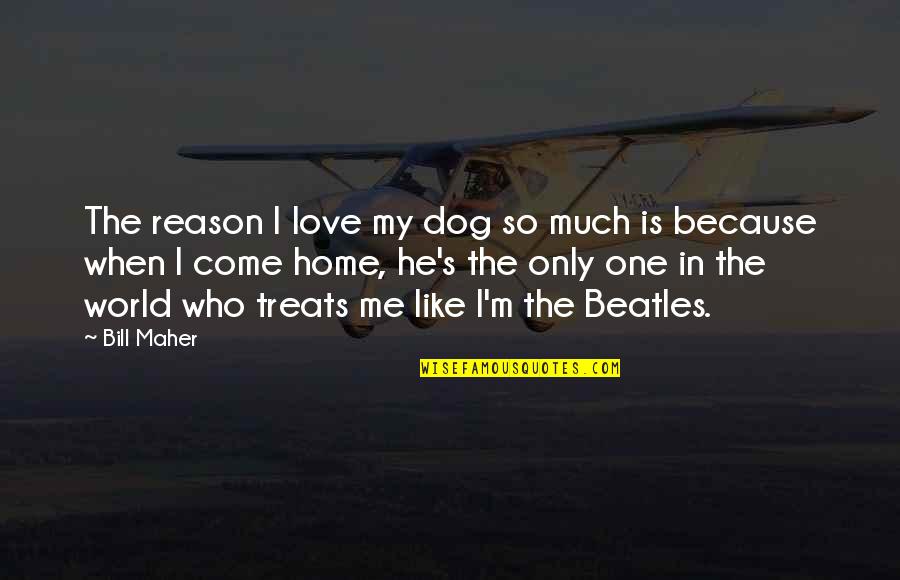 I Love Only One Quotes By Bill Maher: The reason I love my dog so much