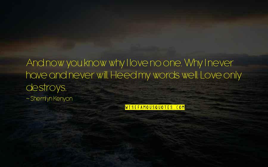 I Love Only You Quotes By Sherrilyn Kenyon: And now you know why I love no