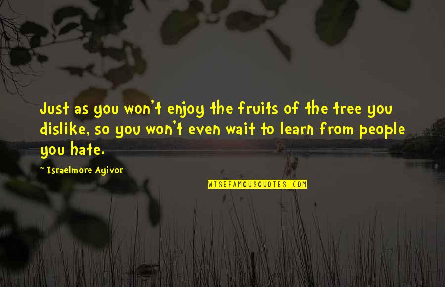 I Love Trees Quotes By Israelmore Ayivor: Just as you won't enjoy the fruits of