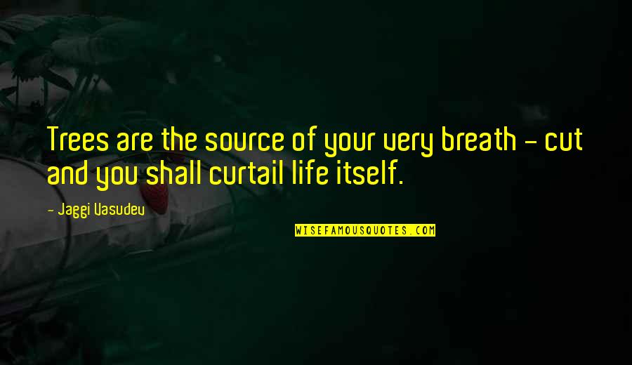 I Love Trees Quotes By Jaggi Vasudev: Trees are the source of your very breath