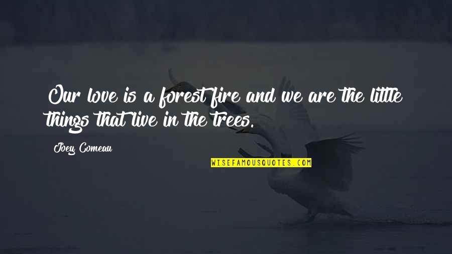 I Love Trees Quotes By Joey Comeau: Our love is a forest fire and we