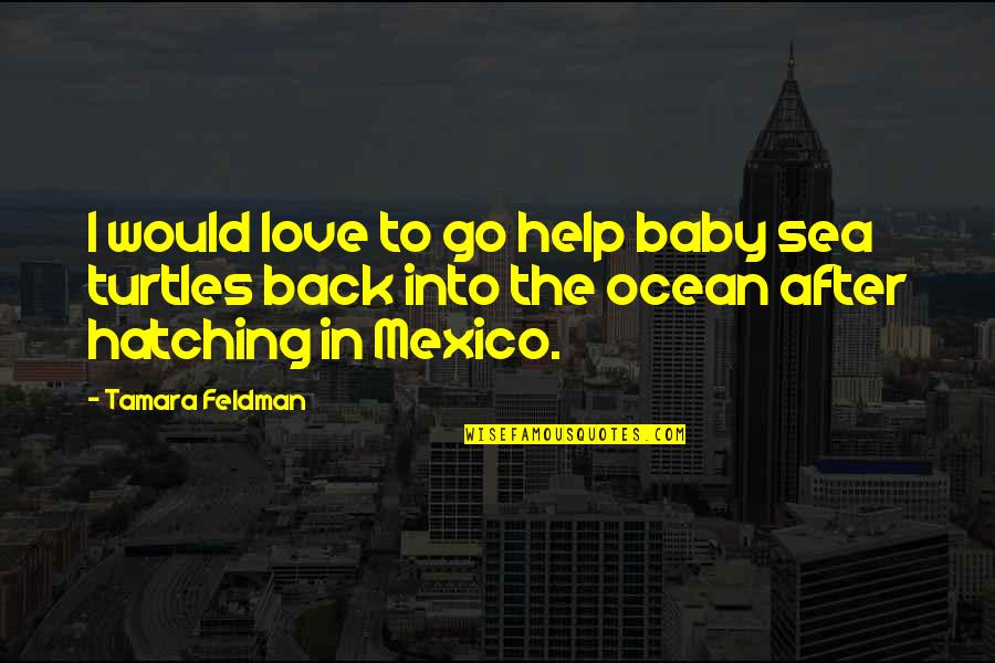 I Love Turtles Quotes By Tamara Feldman: I would love to go help baby sea