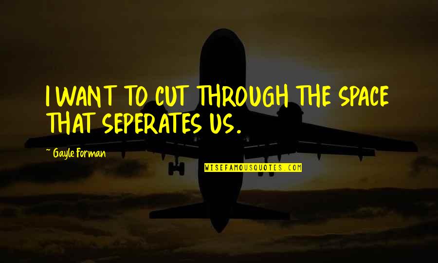 I Love Us Quotes By Gayle Forman: I WANT TO CUT THROUGH THE SPACE THAT