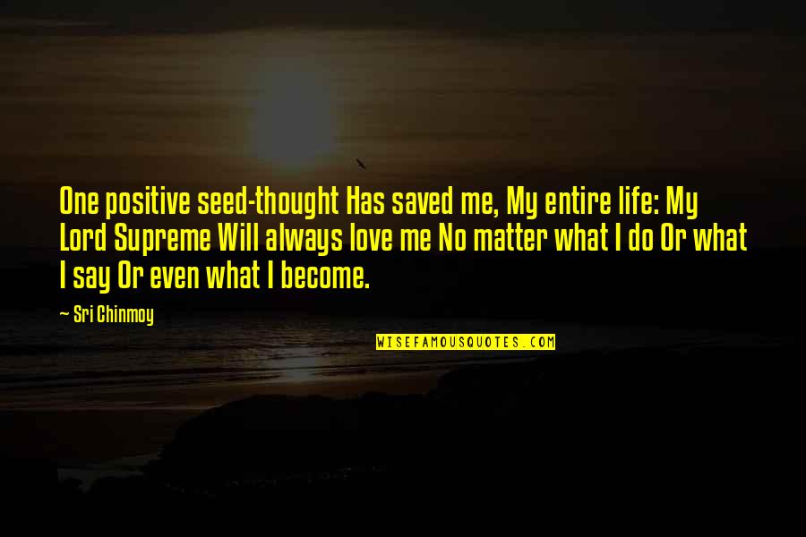 I Love What I Do Quotes By Sri Chinmoy: One positive seed-thought Has saved me, My entire