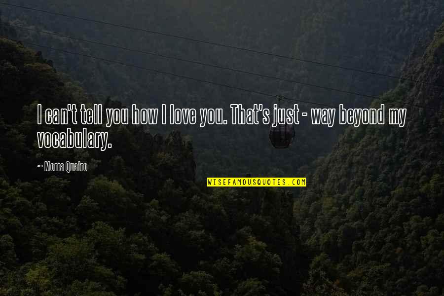 I Love You Beyond Quotes By Morra Quatro: I can't tell you how I love you.