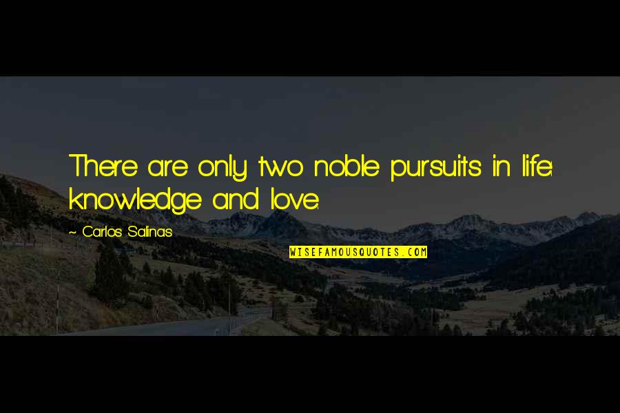 I Love You Come What May Quotes By Carlos Salinas: There are only two noble pursuits in life: