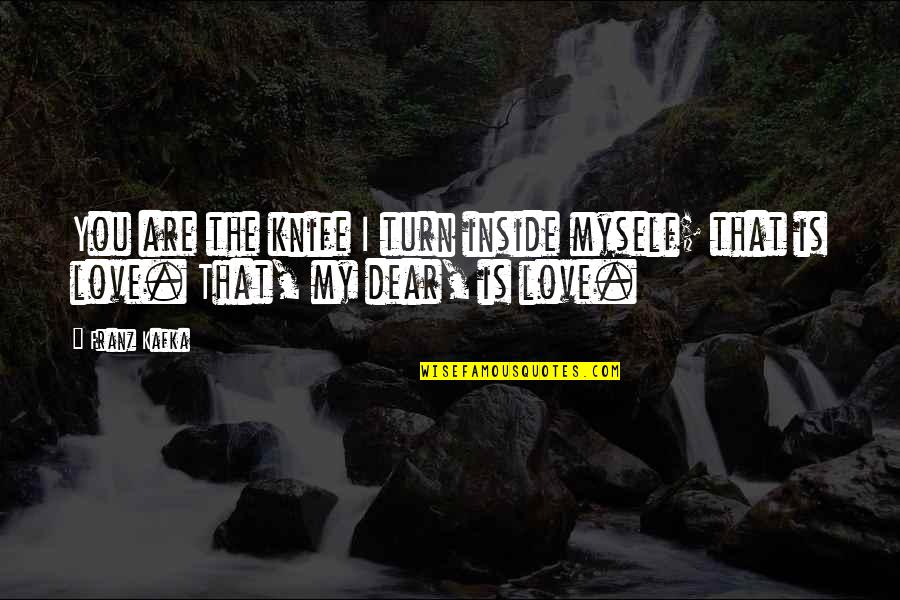 I Love You Dear Quotes By Franz Kafka: You are the knife I turn inside myself;