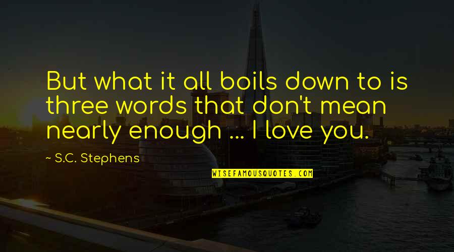 I Love You Enough To Quotes By S.C. Stephens: But what it all boils down to is