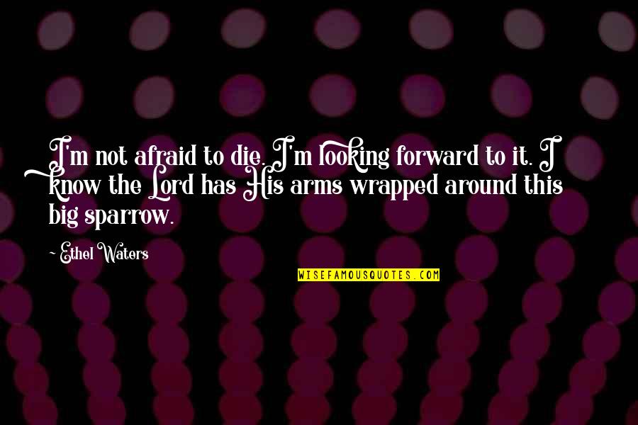 I Love You Happy Valentines Day Quotes By Ethel Waters: I'm not afraid to die. I'm looking forward