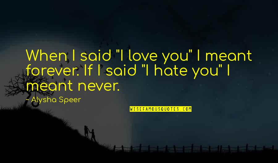 I Love You I Hate You Quotes By Alysha Speer: When I said "I love you" I meant