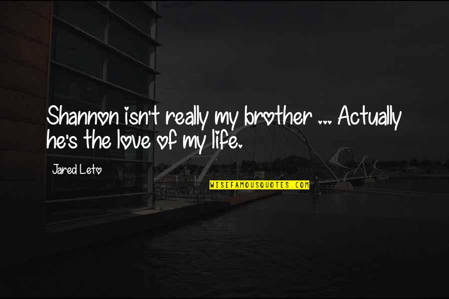 I Love You My Brother Quotes By Jared Leto: Shannon isn't really my brother ... Actually he's