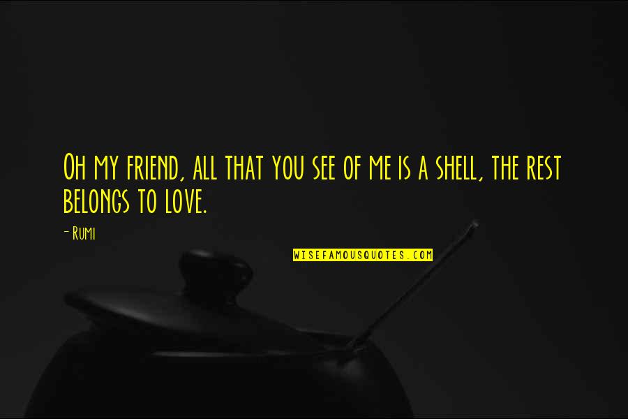 I Love You My Friend Quotes By Rumi: Oh my friend, all that you see of