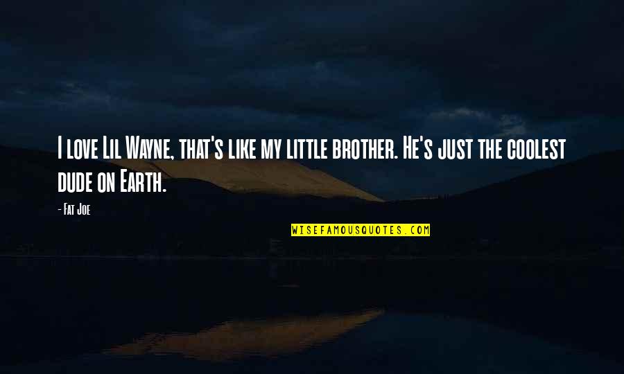 I Love You My Little Brother Quotes By Fat Joe: I love Lil Wayne, that's like my little