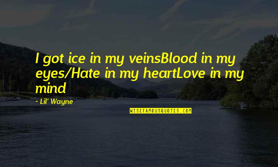 I Love You Rap Quotes By Lil' Wayne: I got ice in my veinsBlood in my