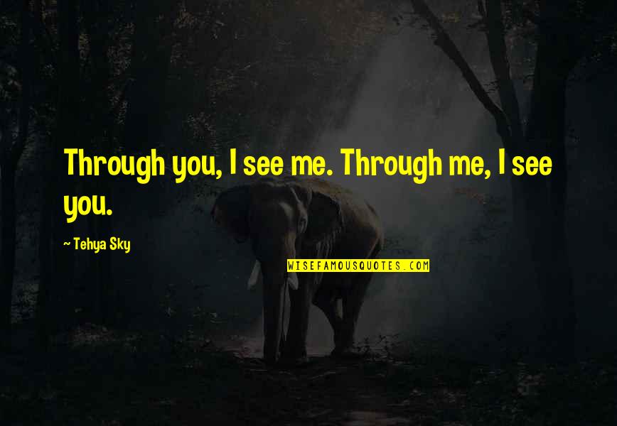 I Love You Through Quotes By Tehya Sky: Through you, I see me. Through me, I