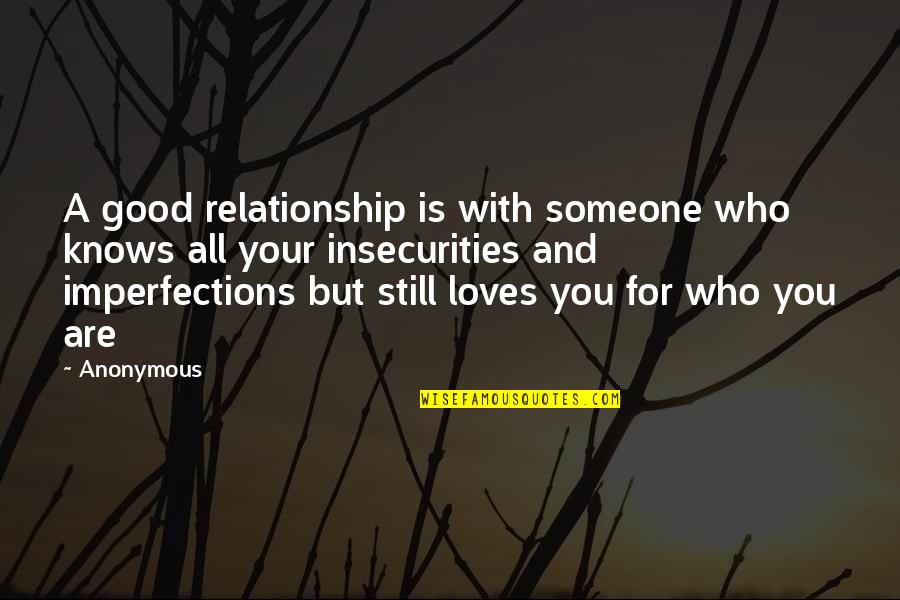 I Love You With All Your Imperfections Quotes By Anonymous: A good relationship is with someone who knows