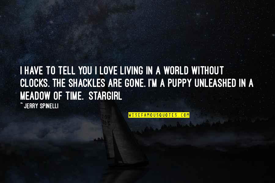 I Love You Without Quotes By Jerry Spinelli: I have to tell you I love living