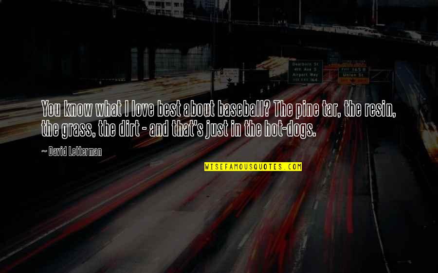 I Love You You're The Best Quotes By David Letterman: You know what I love best about baseball?