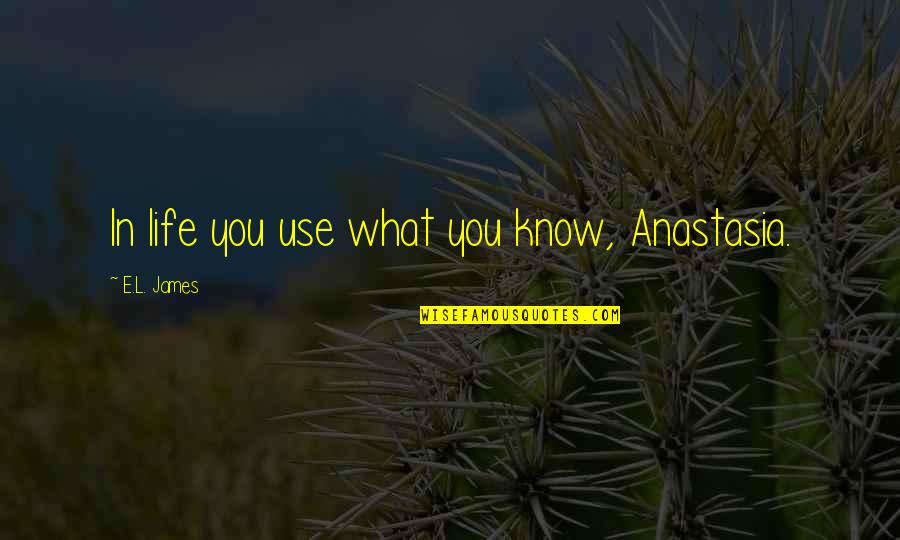 I Love Your Hugs And Kisses Quotes By E.L. James: In life you use what you know, Anastasia.