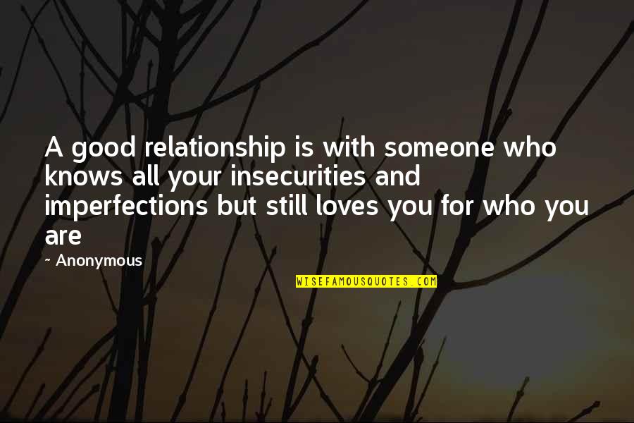 I Love Your Imperfections Quotes By Anonymous: A good relationship is with someone who knows