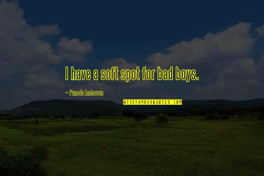 I M Bad Boy Quotes By Pamela Anderson: I have a soft spot for bad boys.