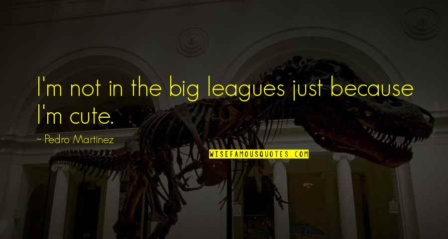 I M Cute Quotes By Pedro Martinez: I'm not in the big leagues just because I M Cute Quotes By Pedro Martinez: I'm not in the big leagues just because