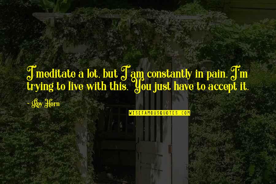 I M In Pain Quotes By Roy Horn: I meditate a lot, but I am constantly