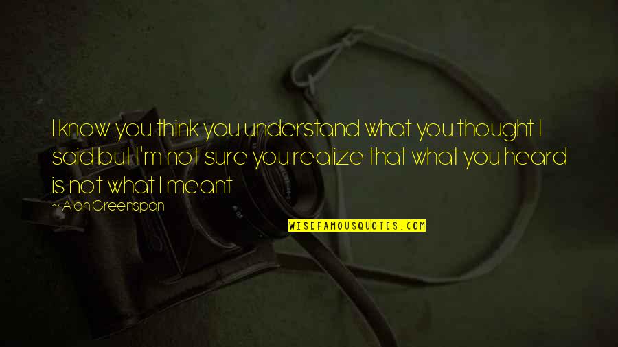 I M Not What You Think Quotes By Alan Greenspan: I know you think you understand what you