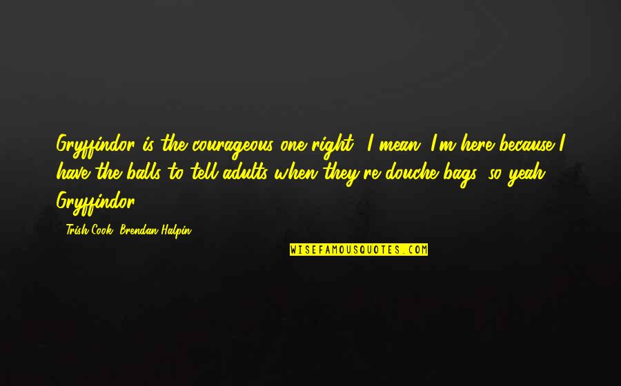 I M Right Here Quotes By Trish Cook, Brendan Halpin: Gryffindor is the courageous one right? I mean,