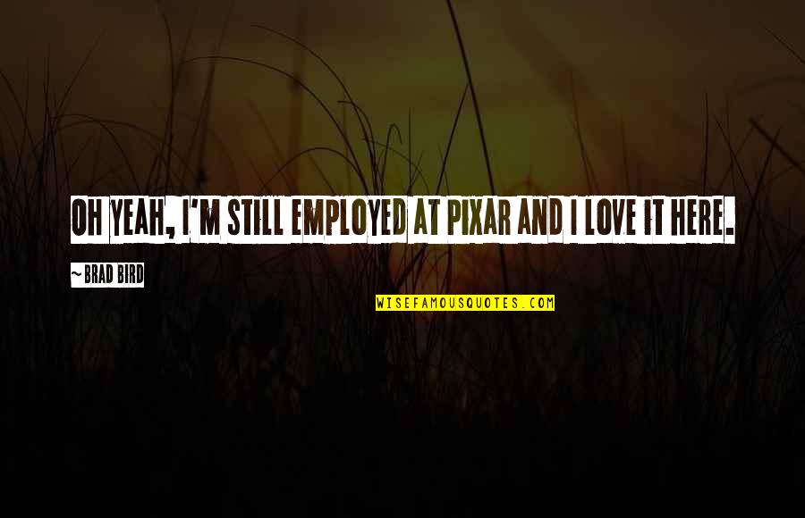 I ' M Still Here Quotes By Brad Bird: Oh yeah, I'm still employed at Pixar and