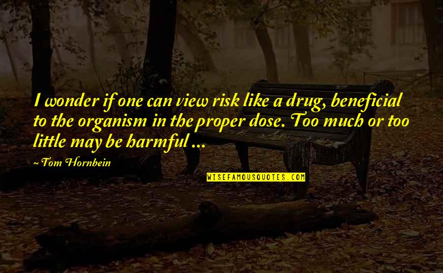 I May Just Like The Quotes By Tom Hornbein: I wonder if one can view risk like