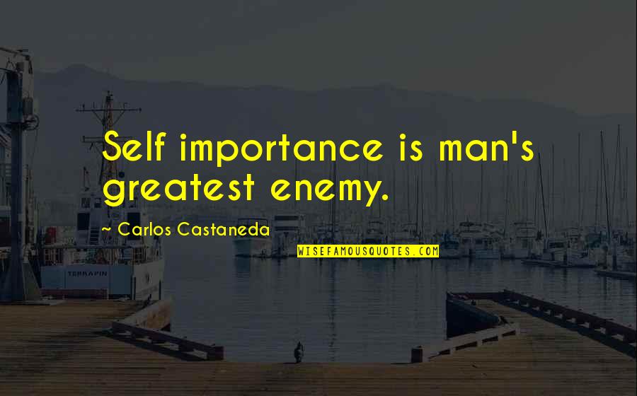 I May Look Sweet Quotes By Carlos Castaneda: Self importance is man's greatest enemy.