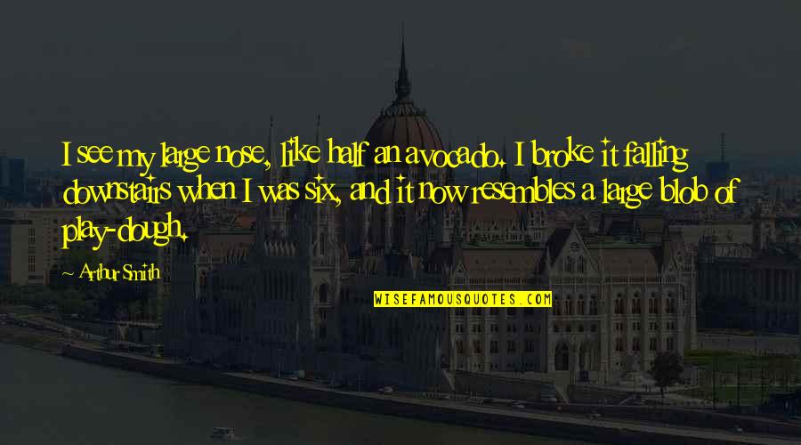 I May Not Have A Lot Of Money Quotes By Arthur Smith: I see my large nose, like half an