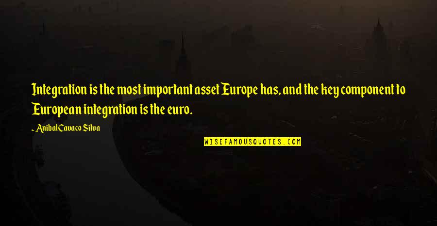 I May Stumble Quotes By Anibal Cavaco Silva: Integration is the most important asset Europe has,