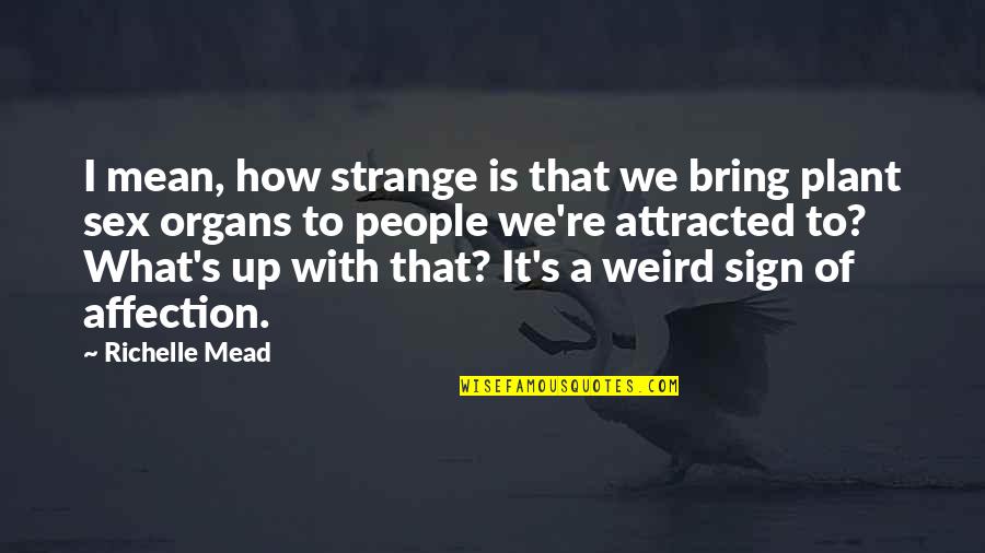 I Mean It Quotes By Richelle Mead: I mean, how strange is that we bring